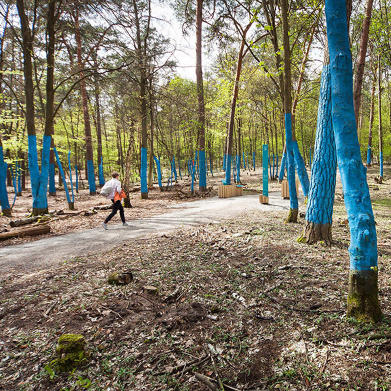 Wald.Berlin.Klima. Die Ausstellung im Wald © Philip Winkelmeier